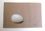 Egg by Phyllis Steele 8 x 5 Pencil on paper